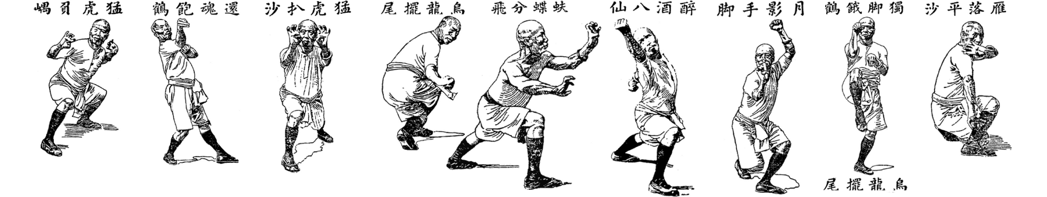Lam Sai Wing. Fu Hok Seung Ying Kuen. Tiger and Crane Double Form (Hong Kong, 1957)