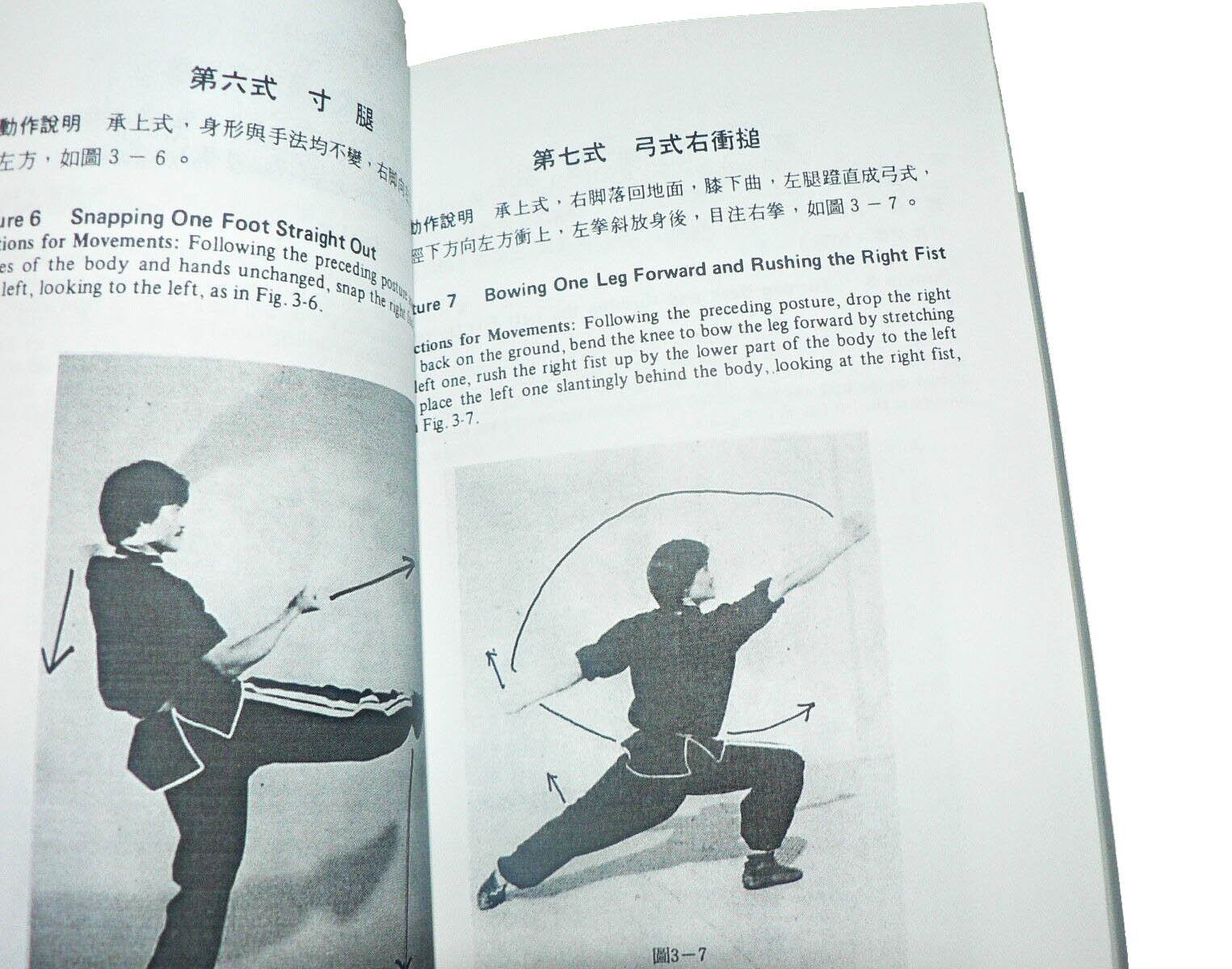 Chan Kin Man. - Northern Shaolin Twelve Tantui Boxing Series. – Shaolin ...