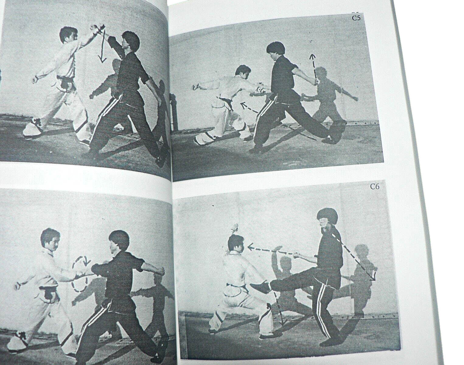 Chan Kin Man. - Northern Shaolin Twelve Tantui Boxing Series. – Shaolin ...