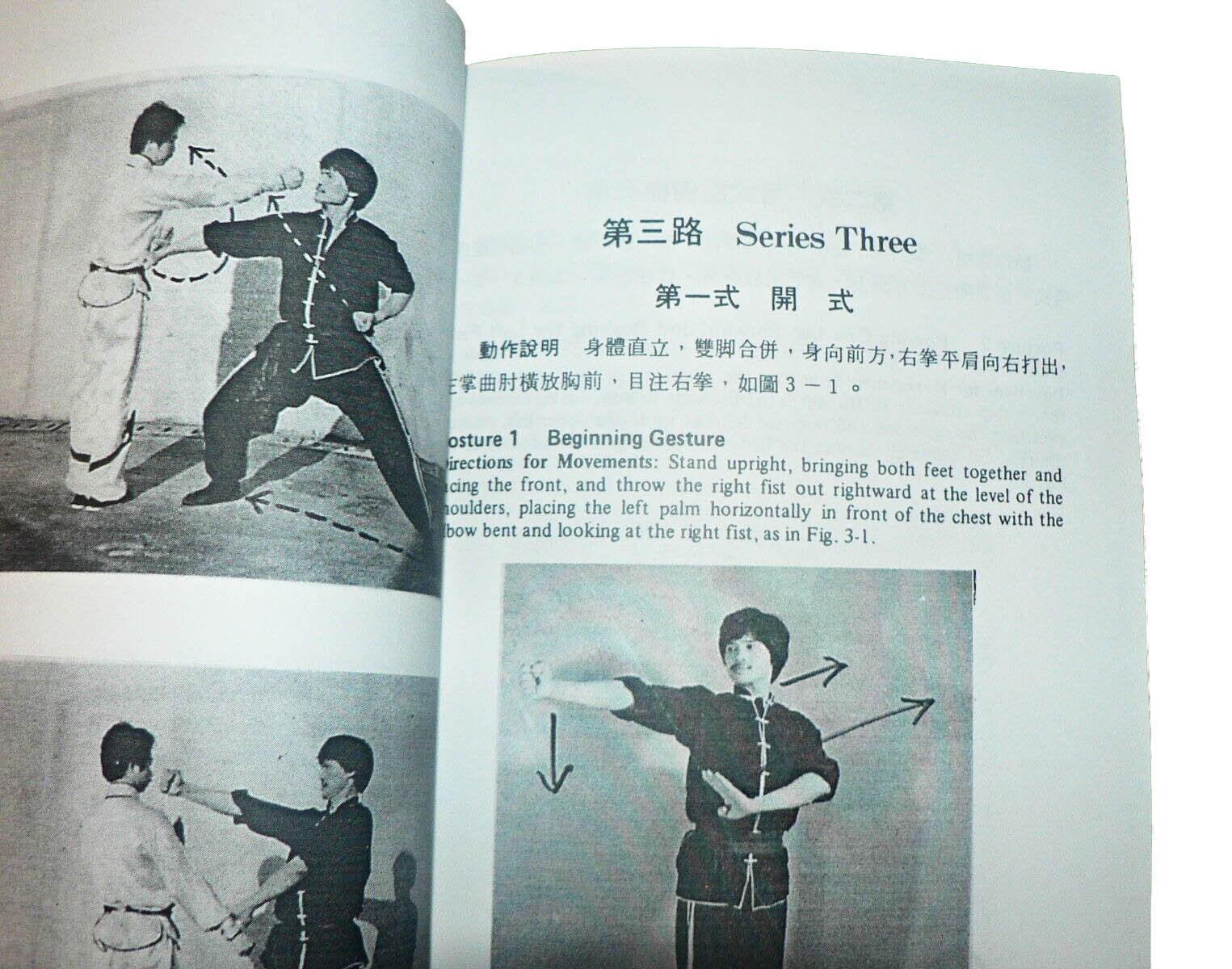 Chan Kin Man. - Northern Shaolin Twelve Tantui Boxing Series. – Shaolin ...