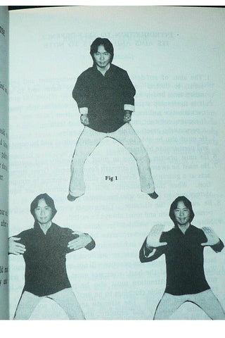 Chinese Praying Mantis Boxing Book 1 - p7