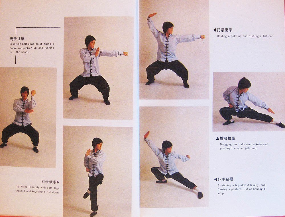 H. C. Chao. - Basic Chinese Boxing – Shaolin Kung Fu Online Library