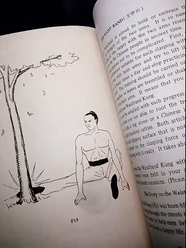 H. C. Chao. - Unseen Mind Force of Kung Fu – Shaolin Kung Fu Online Library